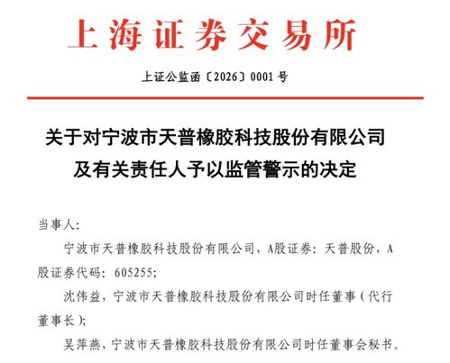 AI軟件開發公司突遭證監會立案調查，行業監管風暴或將開啟